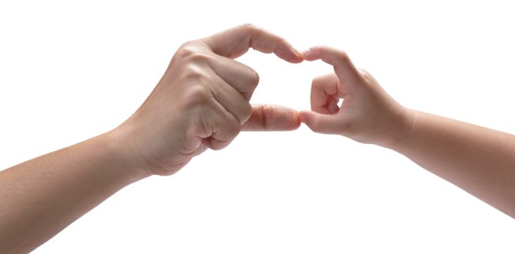 Mother and Child’s use Fingers intertwined to a heart form  on white background, Mother and Kid hand on  white background PNG file. - Powered by Adobe