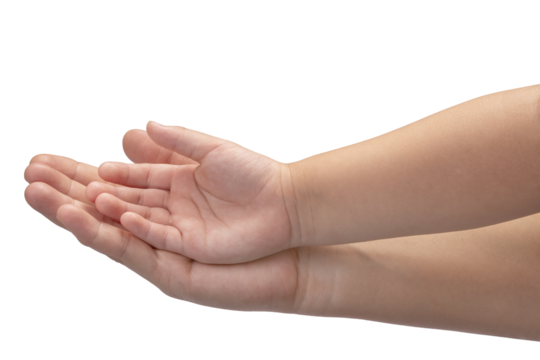 Mother and Child’s holding hands to receive something on white background, Mother and Kid hand on white background PNG file.