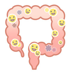 善玉菌の多い大腸