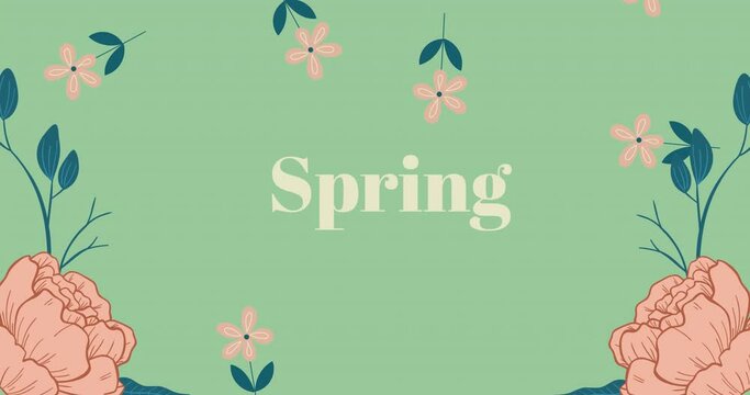 Animation of spring text over pink flowers falling and floral decoration on green background
