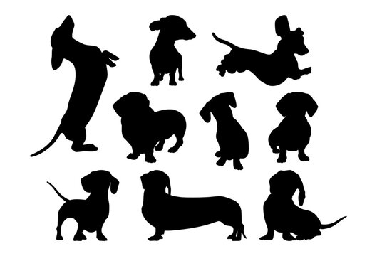Dachshund dogs set template for plotter lazer cutting of paper, wood.