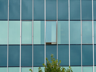 Close-up photo of an exterior of a modern building with one open window and a tree beneath it