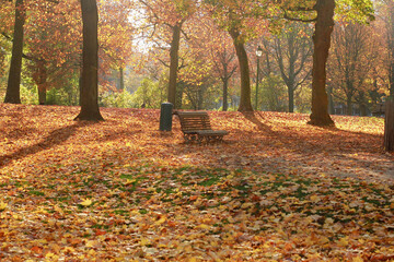 Tapis de feuilles mortes jaunes et rouges sous un banc dans un parc en automne
