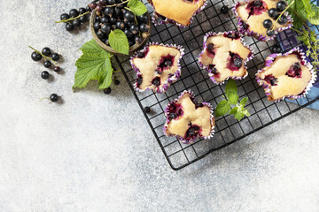 Vegan gluten-free pastry. Oatmeal banana muffins with black currant on a stone table. Healthy dessert. View from above. Copy space.