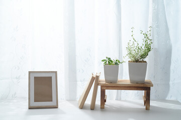 窓際で育てる観葉植物と写真立て
