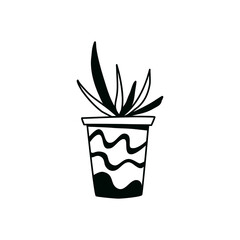 Cactus doodle outline. Element of the nature of plant. Vector hand draw icon. 