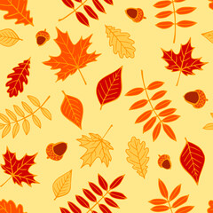 Obraz na płótnie Canvas Seamless pattern with autumn leaves. Hand drawn vector illustration.