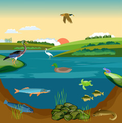 Fototapeta na wymiar Pond ecosystem and Underwater pond landscape with fishes driftwood frog on stone and aquatic plants vector
