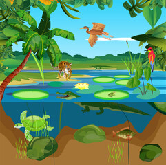 River tropical ecosystem crocodile under water turtle and Underwater  landscape bird with dragonfly jungle vector 