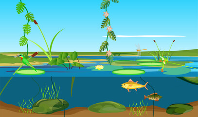 River tropical ecosystem and Underwater  landscape bird with dragonfly jungle vector 