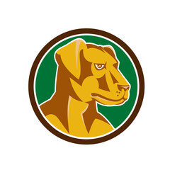 Labrador Golden Retriever Dog Head Circle Retro