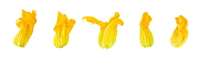 Raw vegetables of 5 different courgette flowers isolated on white