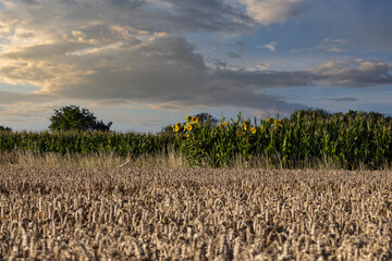 Rural landscapes in the light of sunrise with blue and cloudy sky, country roads and farmer fields, Podkarpackie County, Poland, August, 2022