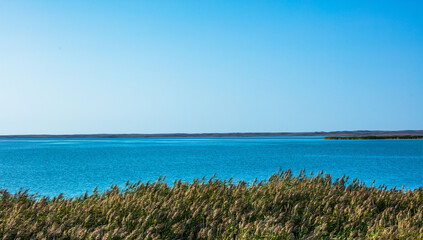 grass and blue sea