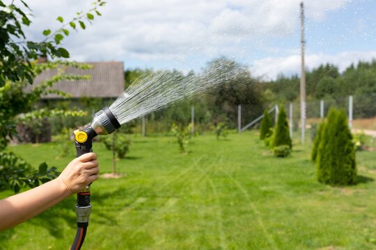 watering the garden and plants from a garden hose with a sprayer close-up