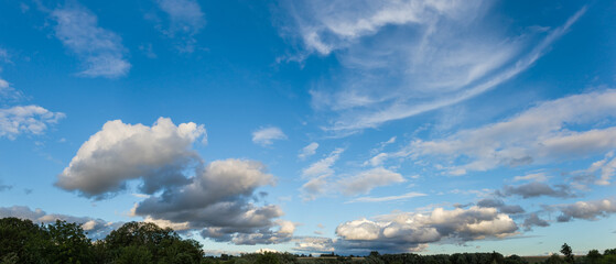 Panorama of the sky with clouds over the tree tops