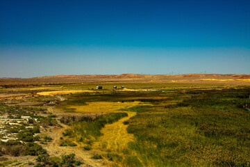 Obraz premium landscape with sky and grass