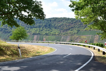 Landstraße vom Moseltal in den Hunsrück mit Blick auf Weinberge