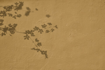 Delicate cherry flowers shadows on beige concrete wall texture. Abstract trendy colored nature concept background. Copy space for text overlay, poster mockup flat lay 