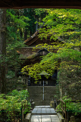 光前寺の参道　駒ヶ根市　長野