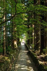 光前寺の参道　駒ヶ根市　長野