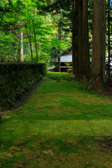 光前寺の参道　駒ヶ根市　長野