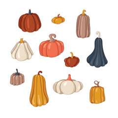 Hand drawn cute cartoon illustration of pumpkin set. Flat vector Halloween and Thanksgiving sticker in simple colored doodle style. Fall or autumn harvest icon or print. Isolated on white background