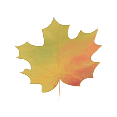 Maple leaf with watercolor effect, autumn leaves, leaf fall, maple isolated on white background. Vector illustration