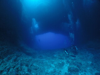 Naklejka na ściany i meble Scuba diving at Blue Hole in Palau. Diving on the reefs of the Palau archipelago.