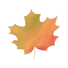 Maple leaf with watercolor effect, autumn leaves, leaf fall, maple isolated on white background. Vector illustration