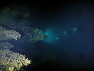 Scuba diving at chandelier cave in Palau. Diving on the reefs of the Palau archipelago.