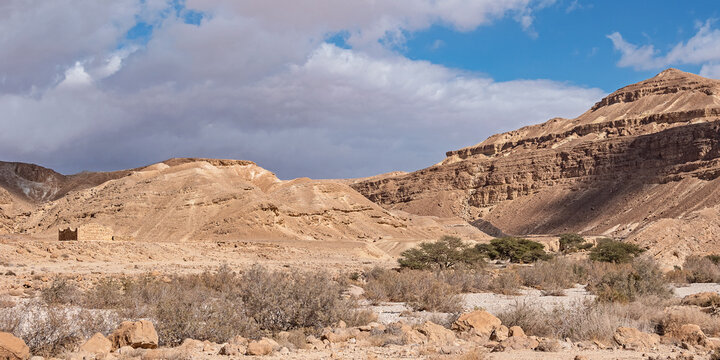 Nabatean Nekarot Fort is camouflaged above the wadi nahal Nekarot stream bed on the famous Spice Route in Israel near a grove of Acacia trees