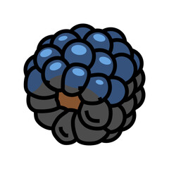 delicious blackberry color icon vector. delicious blackberry sign. isolated symbol illustration