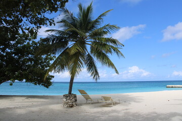 Relax Maldive