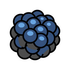 blackberry juicy berry color icon vector. blackberry juicy berry sign. isolated symbol illustration