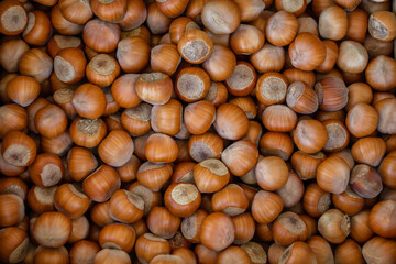 group of hazelnuts top view