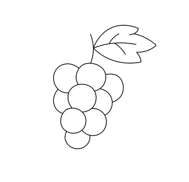 ぶどう イラスト 白黒 の画像 4 152 件の Stock 写真 ベクターおよびビデオ Adobe Stock