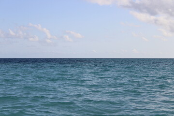 Oceano delfini Maldive