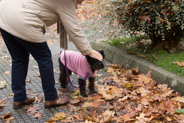 woman petting her dog in pink coat in autumn