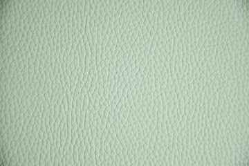 The texture of the material is light green genuine leather as a background image for the design.
