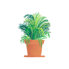 Tropical plant in a pot illustration