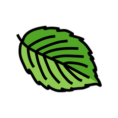 Naklejka premium leaf blackberry plant color icon vector. leaf blackberry plant sign. isolated symbol illustration