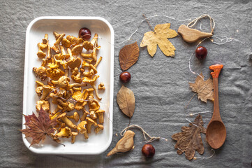 Autumn layout with still life of chanterelles on a cream tray, chestnuts, autumn leaves, wooden...