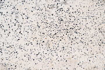 Abstract white with black dot marble texture background 