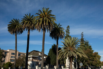 Fototapeta na wymiar Late afternoon view of historic downtown San Leandro, California, USA.