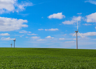 Obraz premium champ d'éoliennes