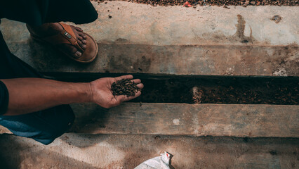 Biopond is a breeding ground for black army fly larvae made of wood, plywood or PVC pipe and filled...