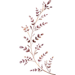 Botanical leaves watercolor illustration