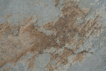The floor, old walls, walls have cracks of cement.
