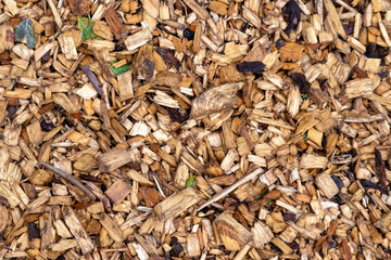Wet dark softwood chips with foliage evenly spread